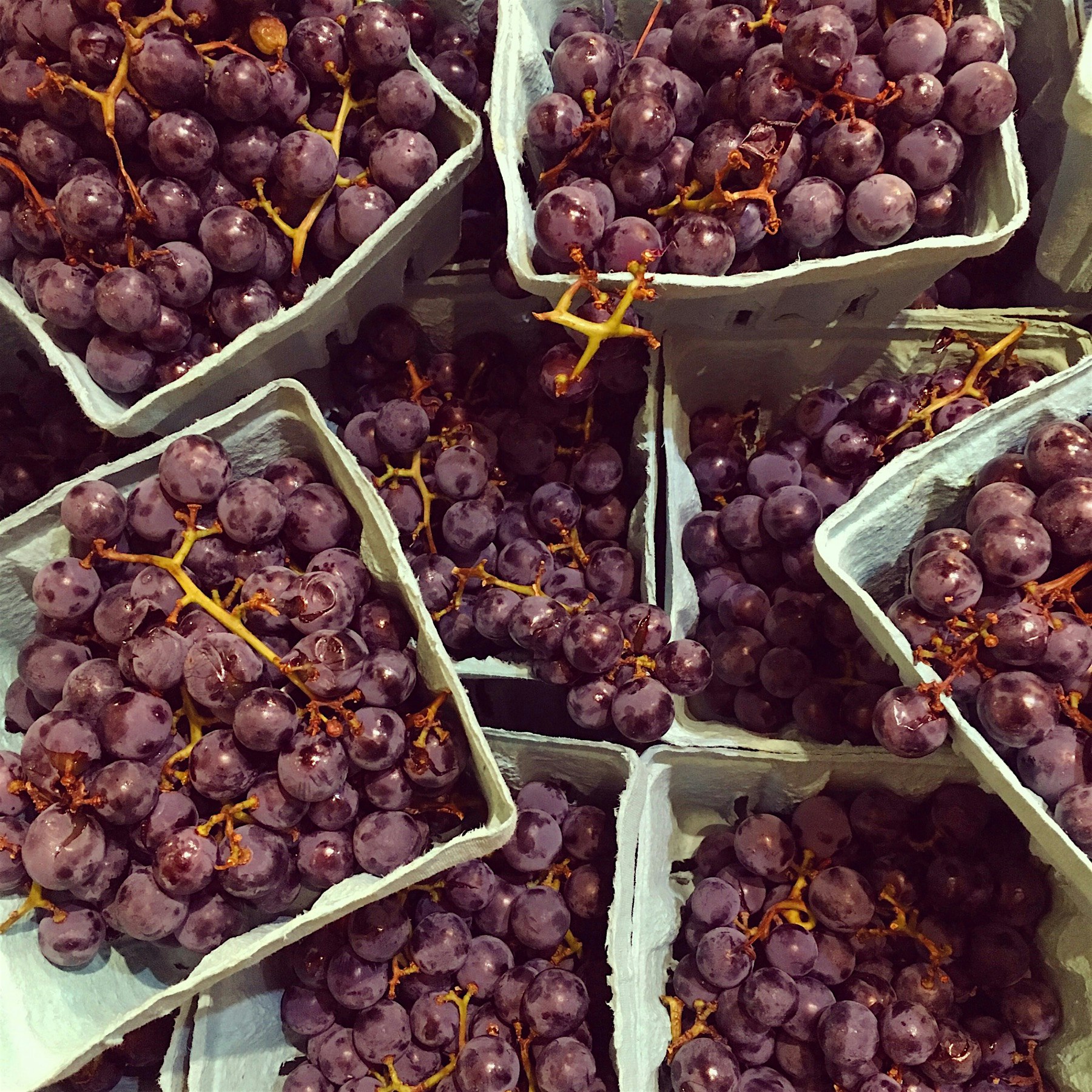 Snacks for the train to Tarrytown 😊