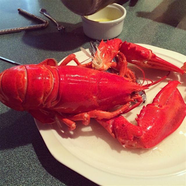 Mom made lunch! Yummmm