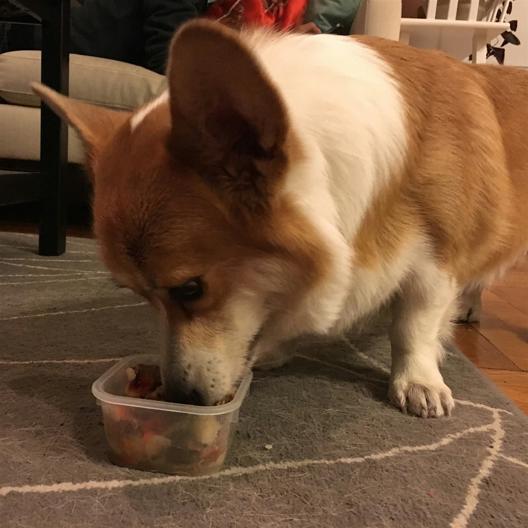 Made some bollito misto from local beef and our lil dude got some leftovers. #GreenYoSelf @FoodDa...