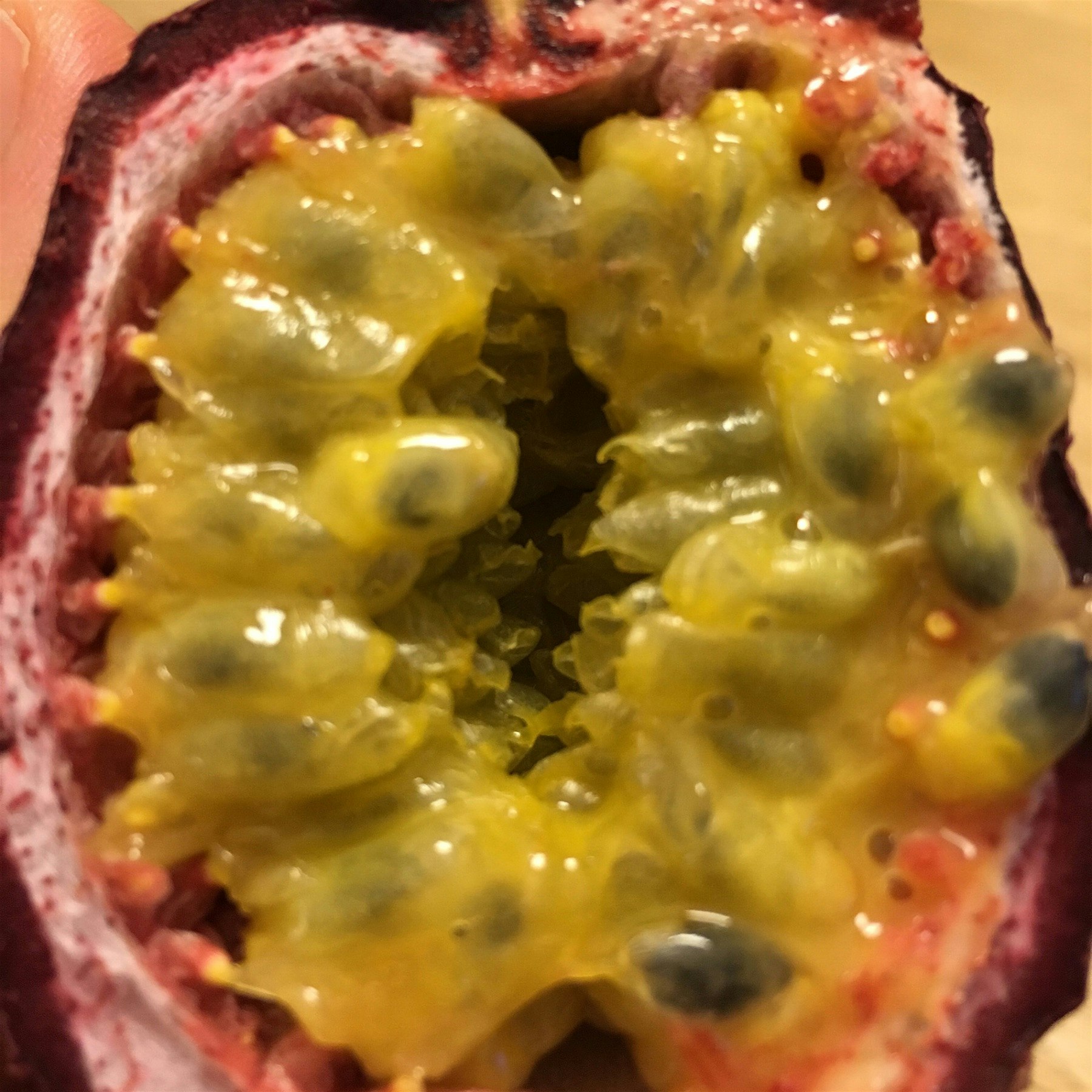Passion Fruit day