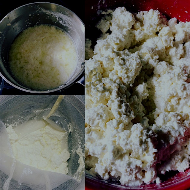 #homemade fresh #cheese - 1. Cook and curdle milk - 2. Strain - 3. Season and Serve 