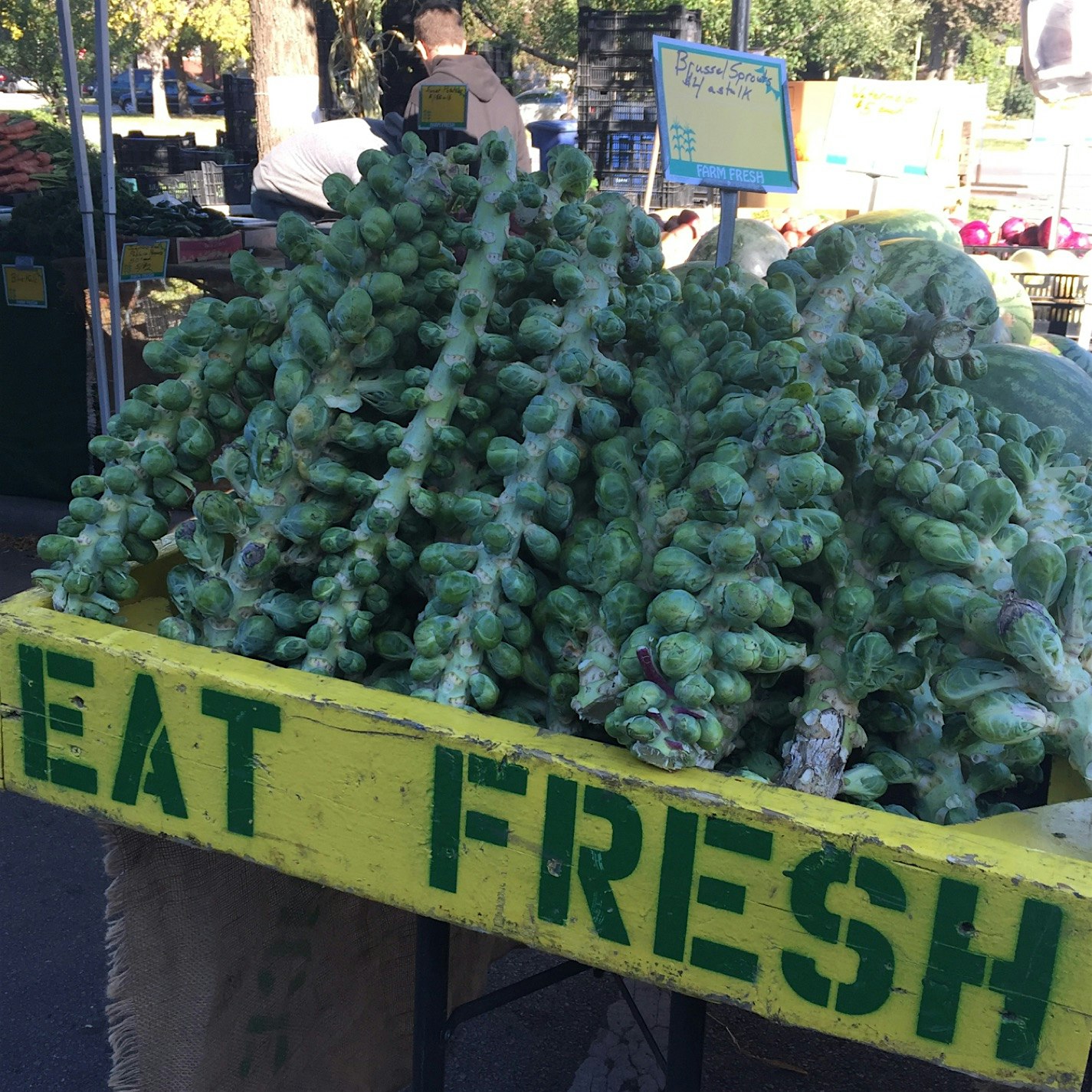 U-Pick Brussels sprouts at Logan Square Market. Delish. 