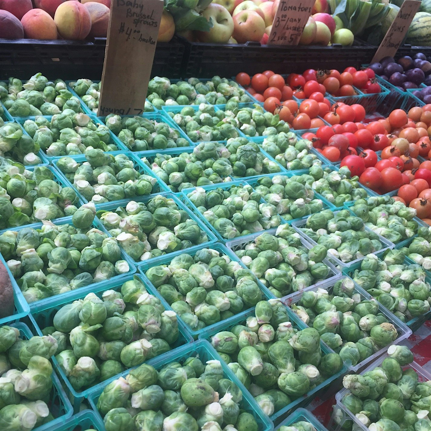 Love farmers' market Sundays! 🌱✨