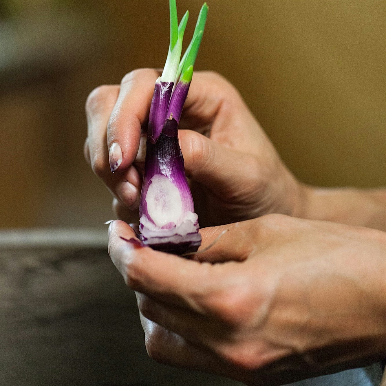 There's No Food Left Behind for #NoFoodWaste November, including this red onion, who decided to s...