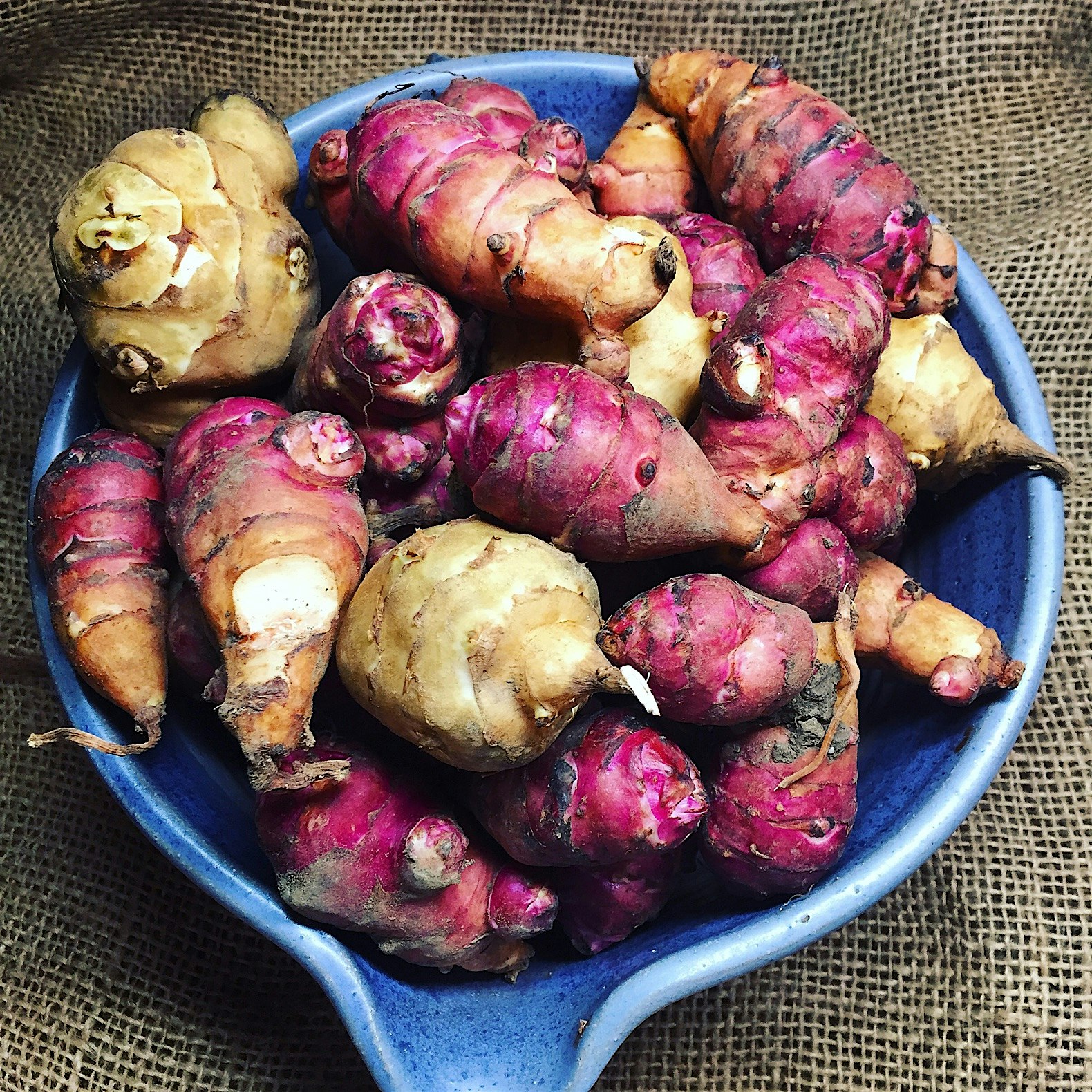 Beautiful sunchokes from my good friend Peter. 