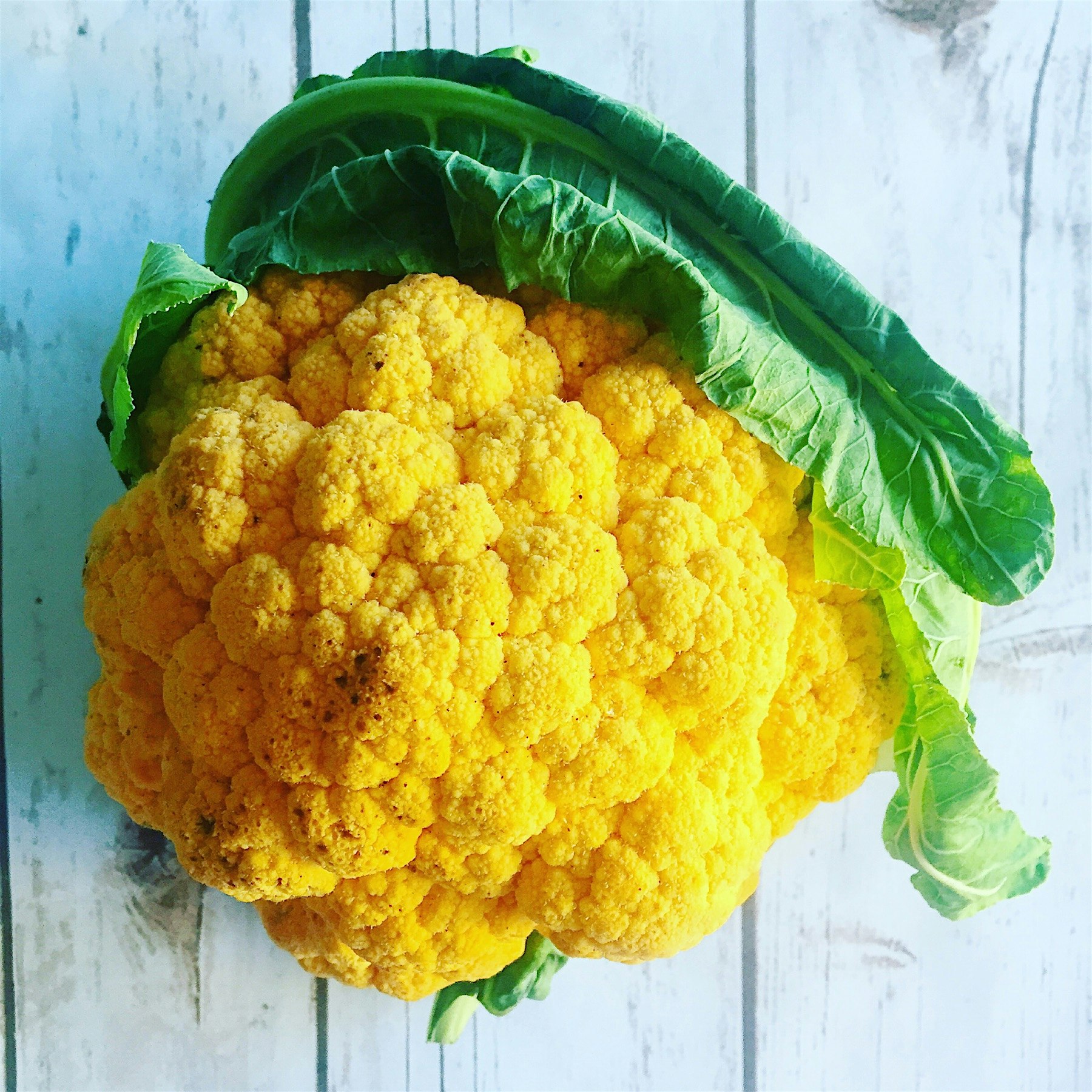 The yellow cauliflower. A real treat. Sauteed with bacon? Swoon!