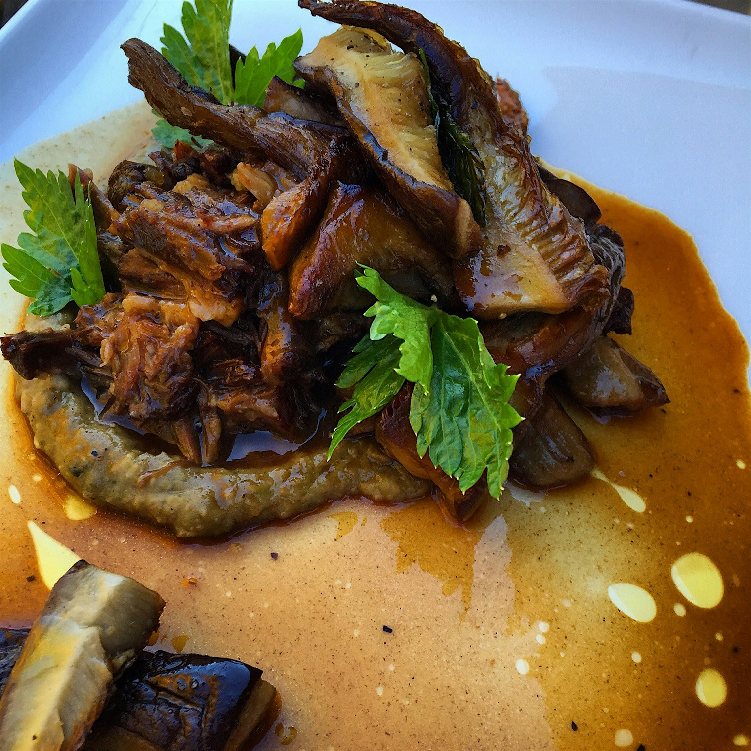 Ox tails with wild fall oyster mushrooms and poblano re fried beans.  